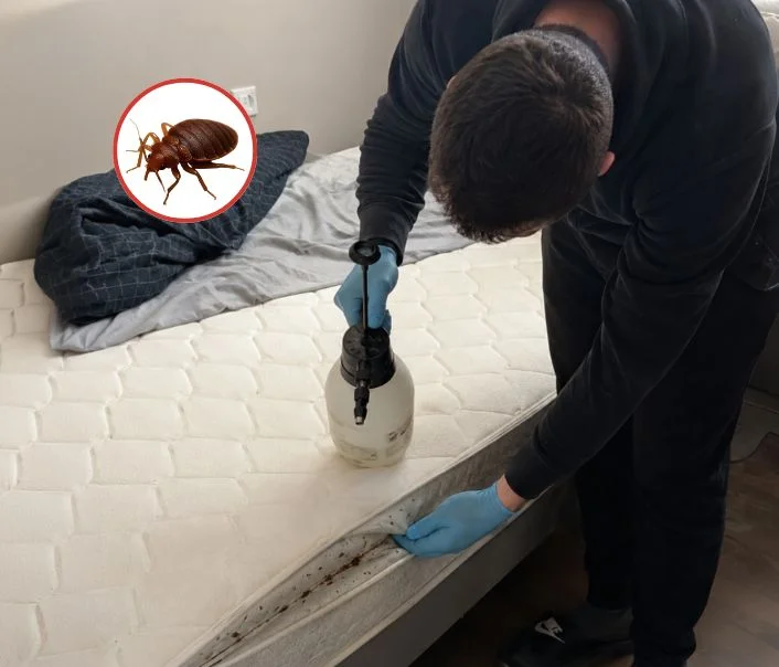 Technicien traitant un matelas contre les punaises de lit à Ballancourt-sur-Essonne